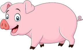 Tử vi tài chính tuổi Hợi 30/12/2025: Cần tiết kiệm hay mua sắm?