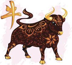 Tử vi tài chính tuổi Sửu 02/01/2026: Cần tiết kiệm hay giữ tiền?