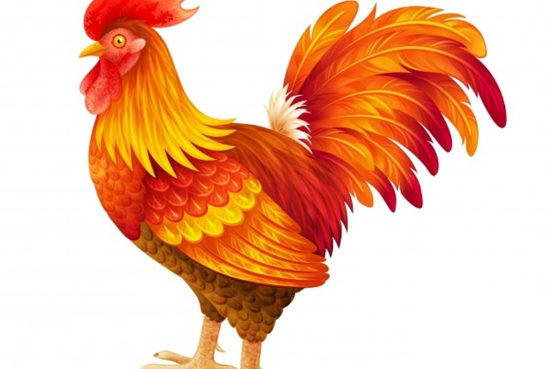 Tuổi Dậu ngày 20/01/2026 nên nhảy việc hay án binh bất động?