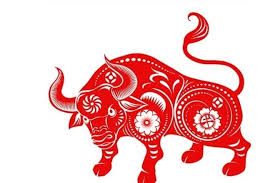 Vận hạn ngày 12/12/2025 cho tuổi Sửu chi tiết